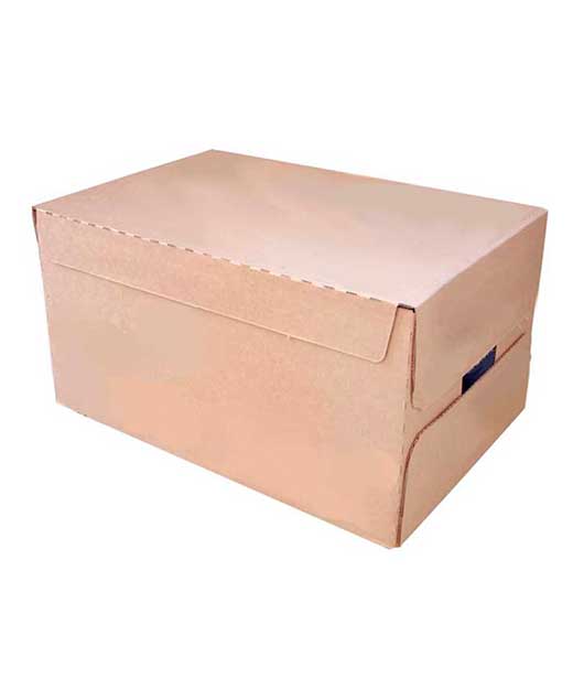 Wrap Around Case Packing  Wrap Around Box Packaging Machine